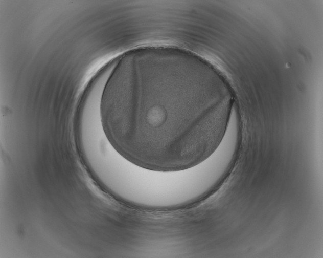 X0000090621030200708071220