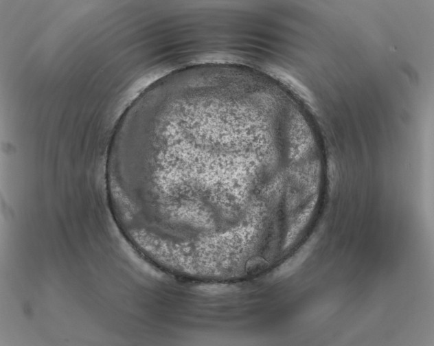 X0000090621033200708071220