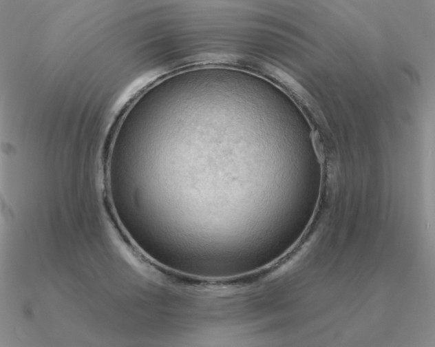 X0000090621034200708071220