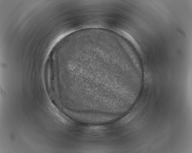 X0000090621035200708071220