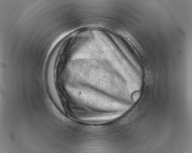 X0000090621036200708071220