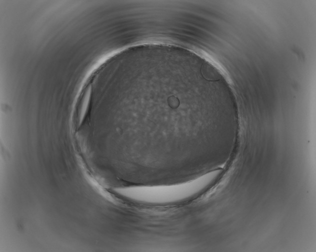 X0000090621037200708071220