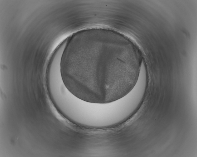 X0000090621038200708071220