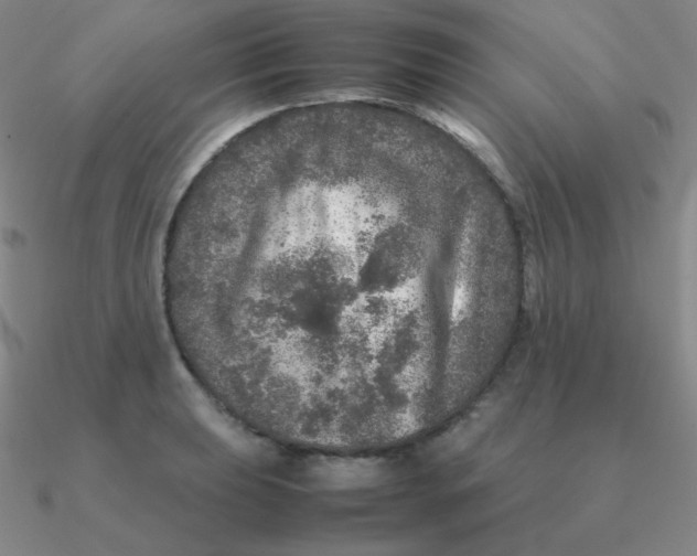 X0000090621039200708071220