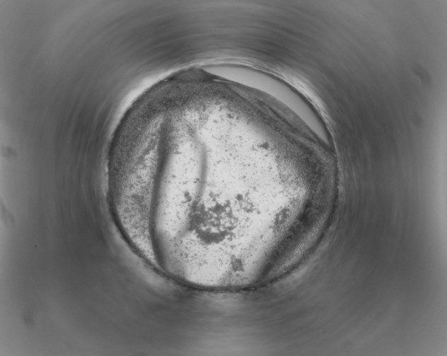 X0000090621040200708071220