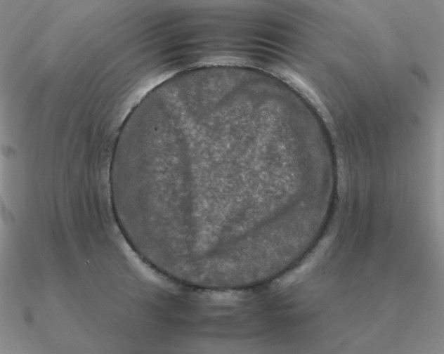 X0000090621041200708071220