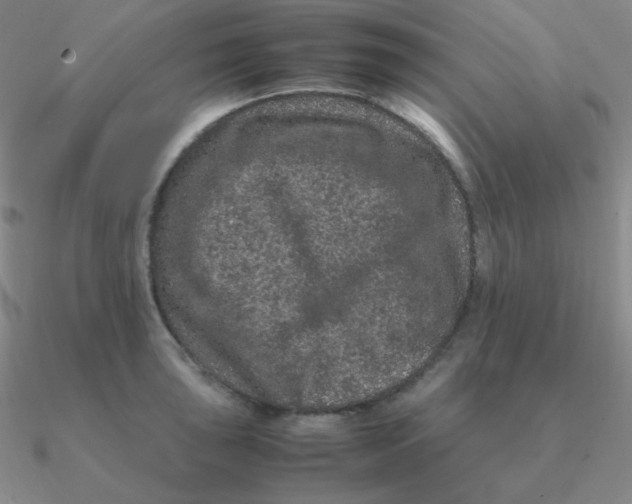 X0000090621043200708071220