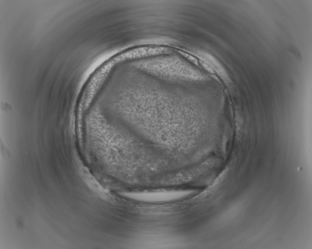 X0000090621044200708071220