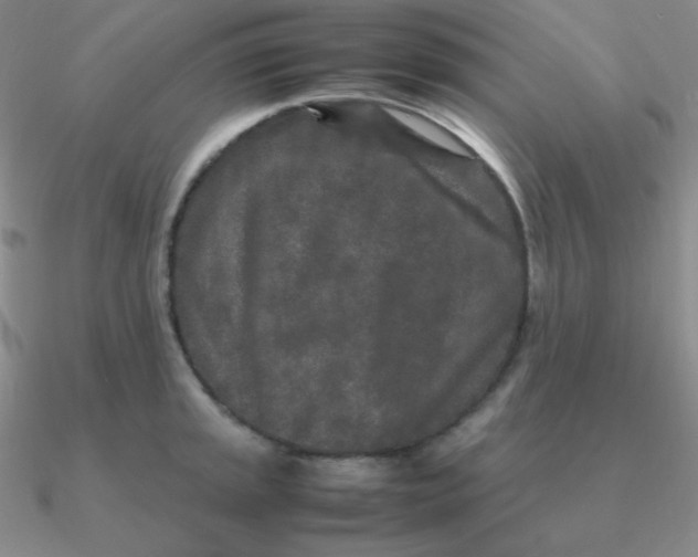 X0000090621045200708071220