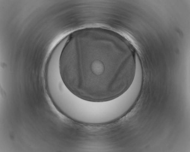 X0000090621046200708071220