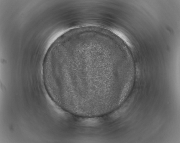 X0000090621047200708071220