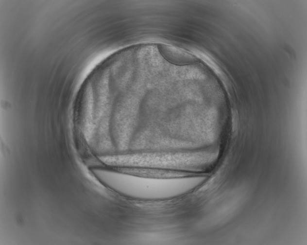 X0000090621048200708071220