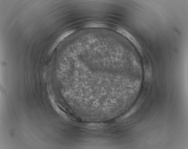 X0000090621049200708071220