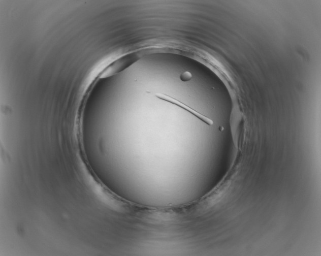 X0000090621050200708071220