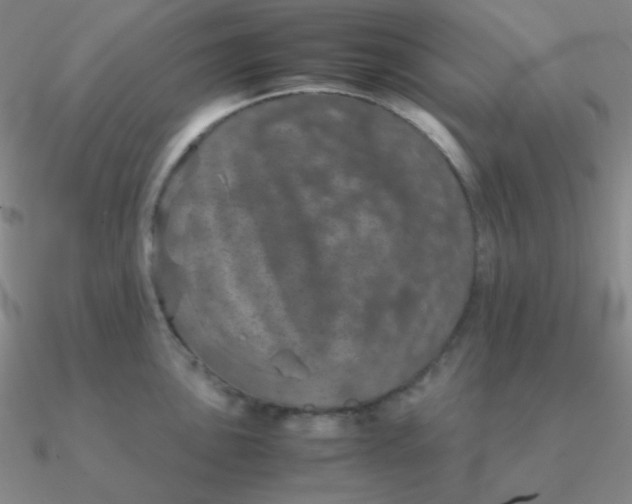 X0000090621051200708071220