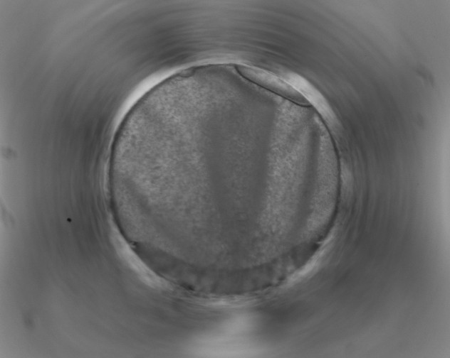 X0000090621052200708071220