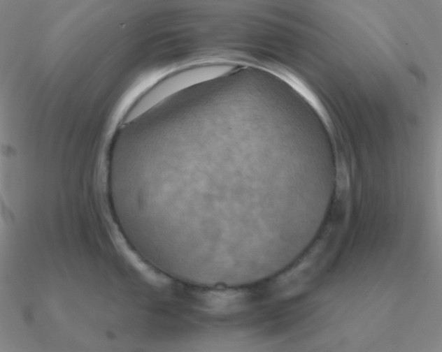 X0000090621053200708071220