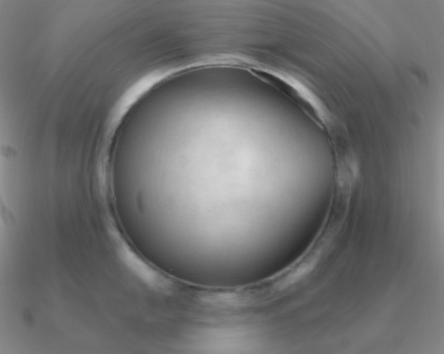 X0000090621054200708071221