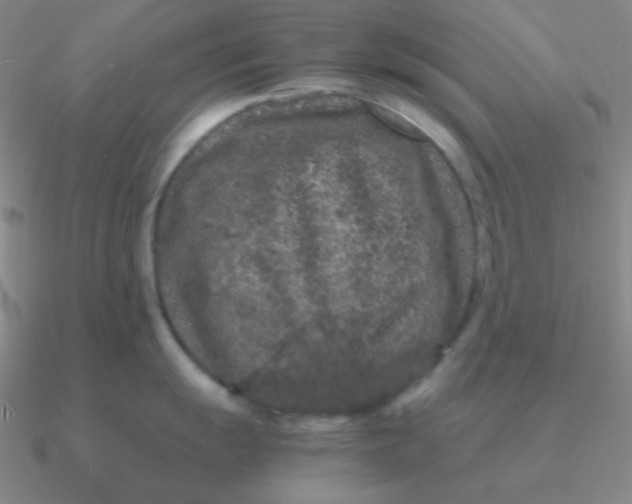 X0000090621055200708071221