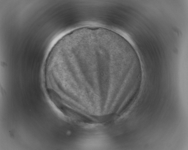 X0000090621056200708071221