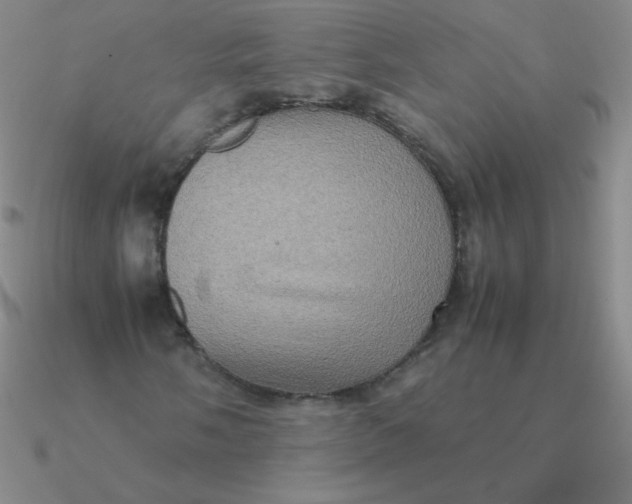 X0000090621058200708071220