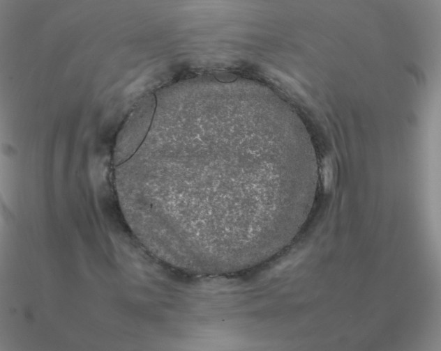 X0000090621059200708071220