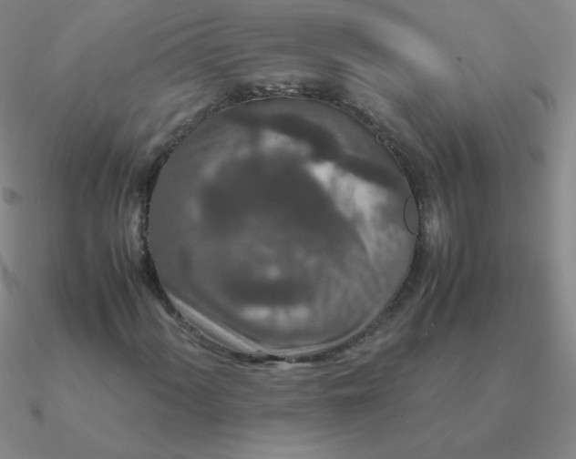 X0000090621060200708071220