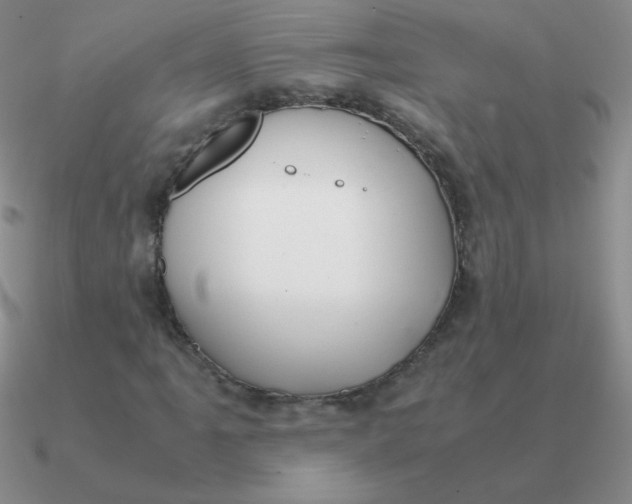 X0000090621061200708071220