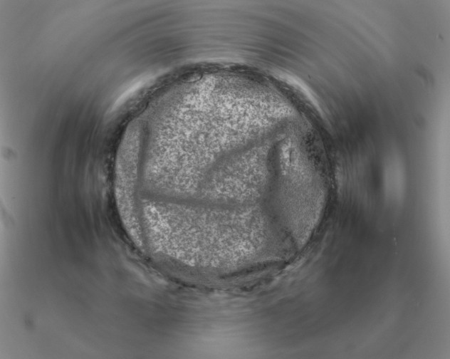 X0000090621064200708071220