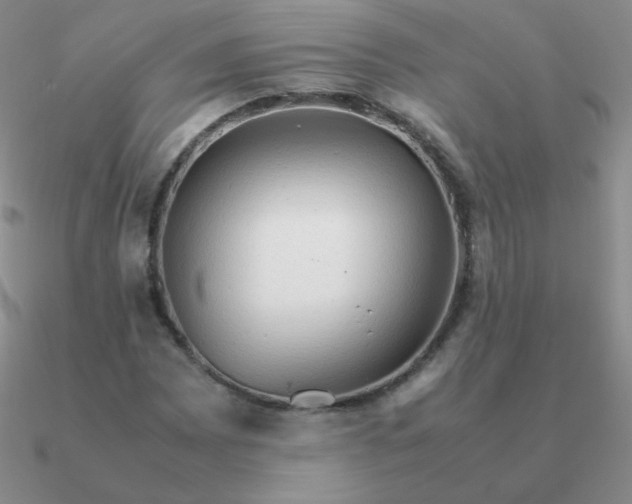 X0000090621065200708071220