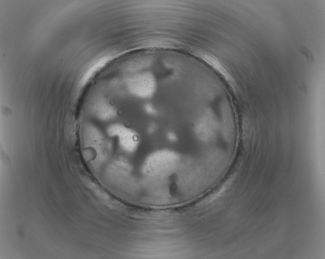 X0000090621067200708071220