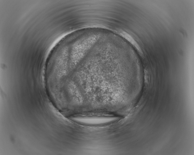 X0000090621068200708071220