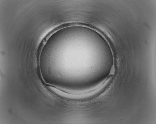 X0000090621069200708071220