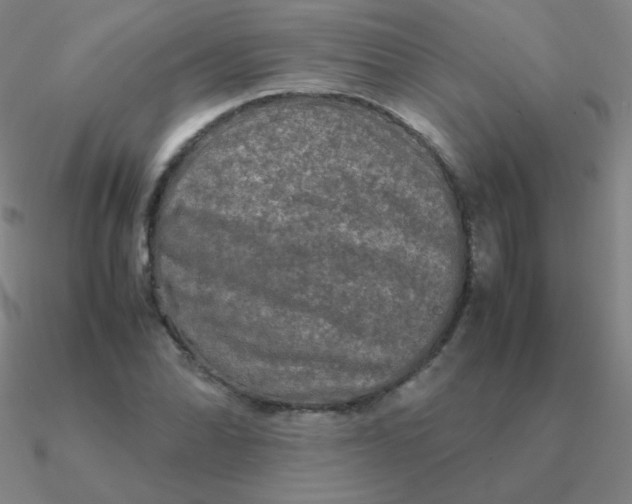 X0000090621070200708071220