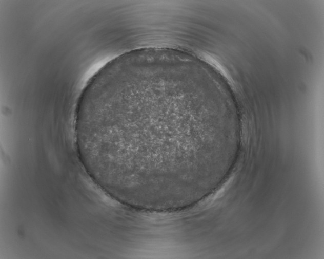 X0000090621071200708071220