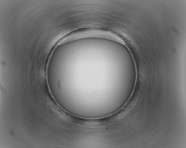 X0000090621073200708071220