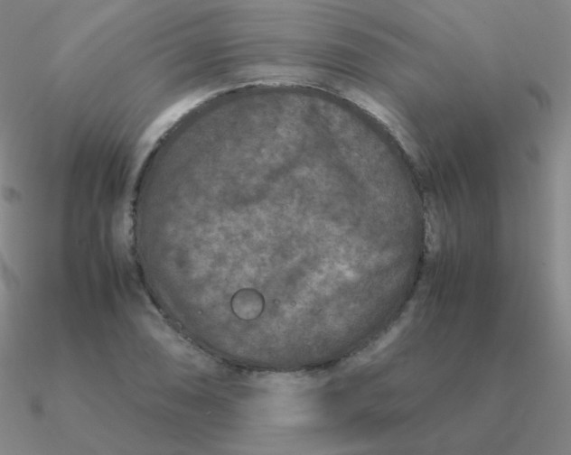 X0000090621074200708071219