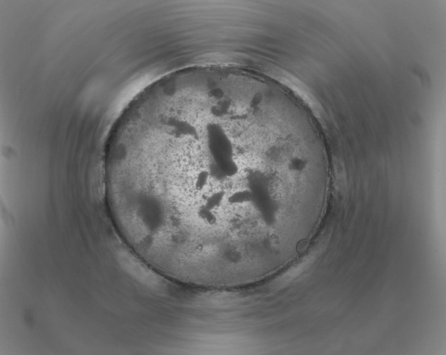 X0000090621075200708071219