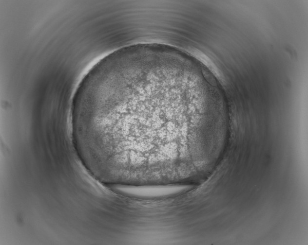 X0000090621076200708071219