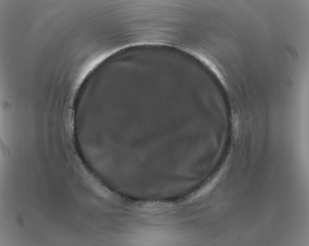 X0000090621077200708071219