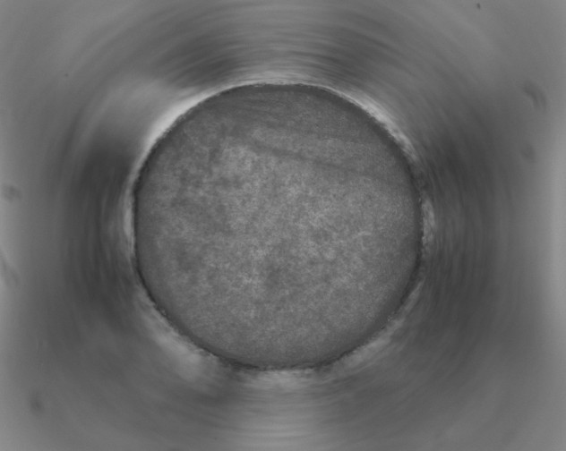 X0000090621078200708071219