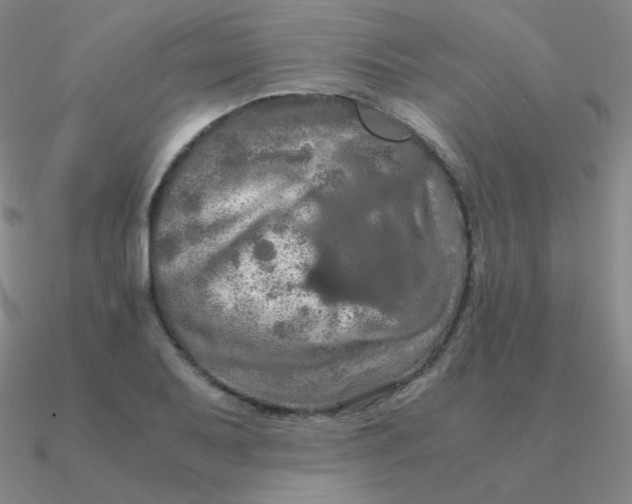 X0000090621079200708071219