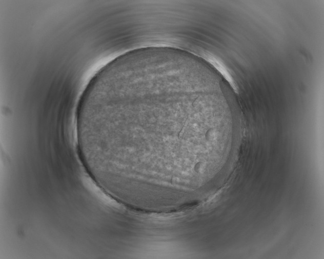 X0000090621080200708071219