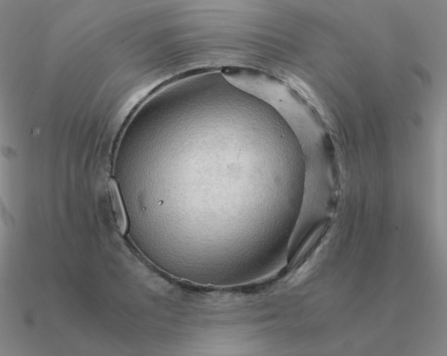 X0000090621081200708071219