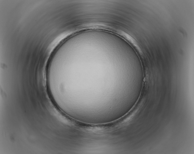 X0000090621082200708071219