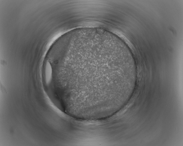 X0000090621083200708071219