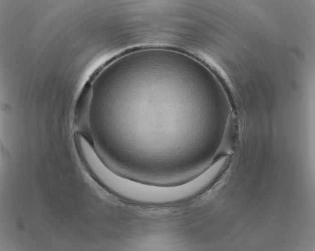 X0000090621085200708071219