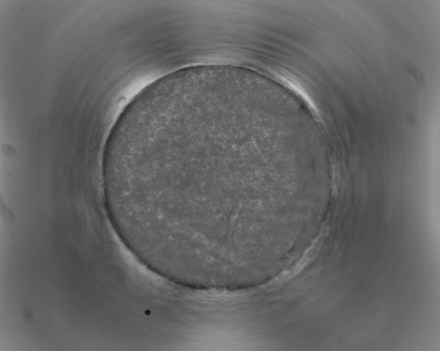 X0000090621087200708071219