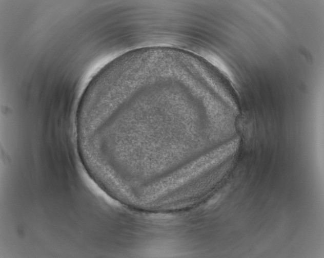 X0000090621088200708071219