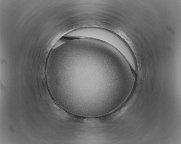 X0000090621089200708071219